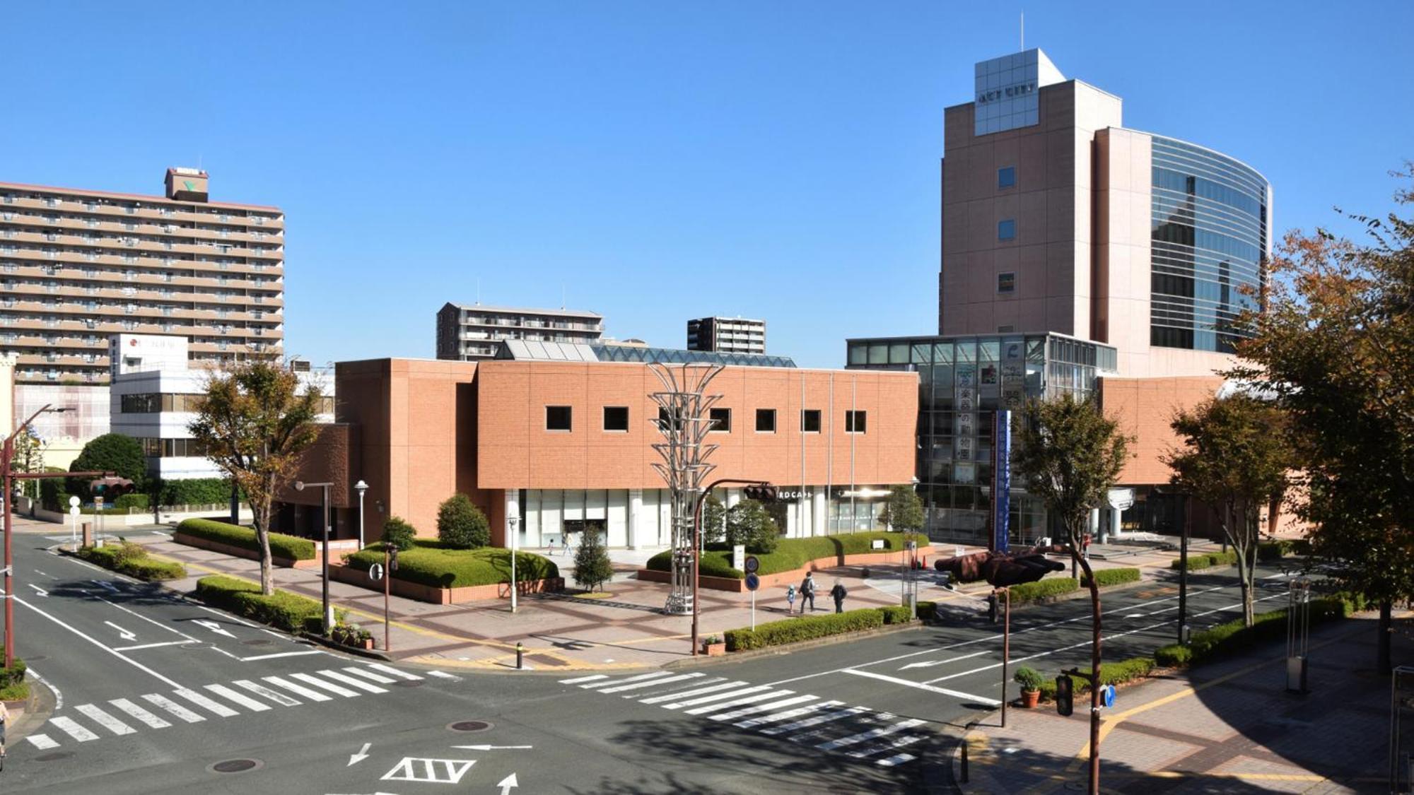 Toyoko Inn Hamamatsu Eki Kita Guchi Kültér fotó